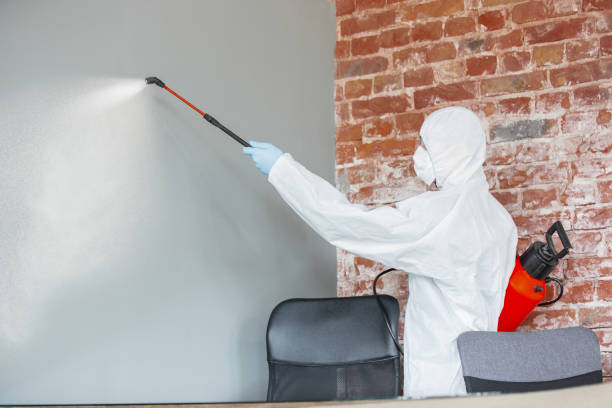 Best Crawl Space Mold Remediation  in Chinchilla, PA